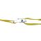 Blíster x2 uds cinchas de amarre 1 pulg x 2.5mts - 150 kg Blacksmith AMACAR0007